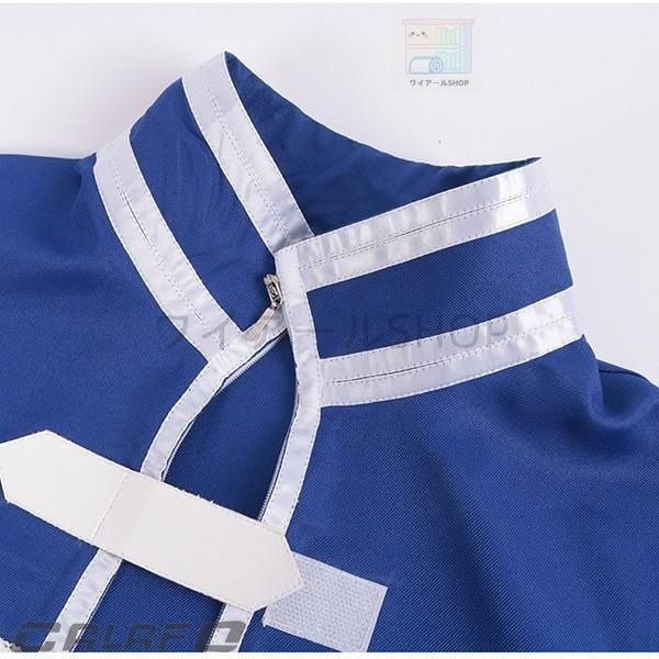 文化祭 ウィッグ