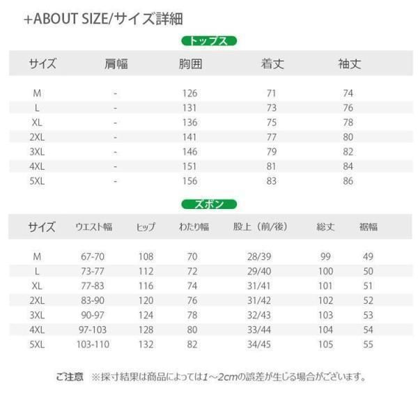 スキーウェア レディース