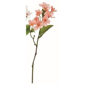 3営業日で発送 アスカ Asca ブロッサム×9 A-35137-013A 入数 24