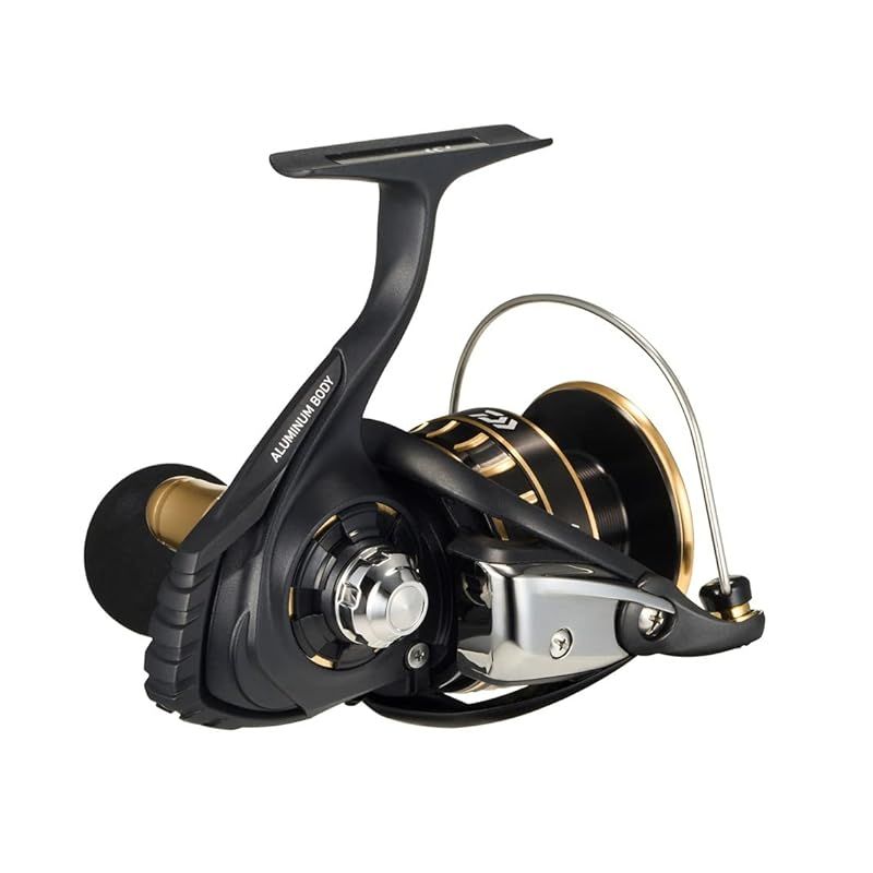 人気 ダイワ(DAIWA) スピニングリール 23BG SW 6000D-H 0 ダイワ(DAIWA