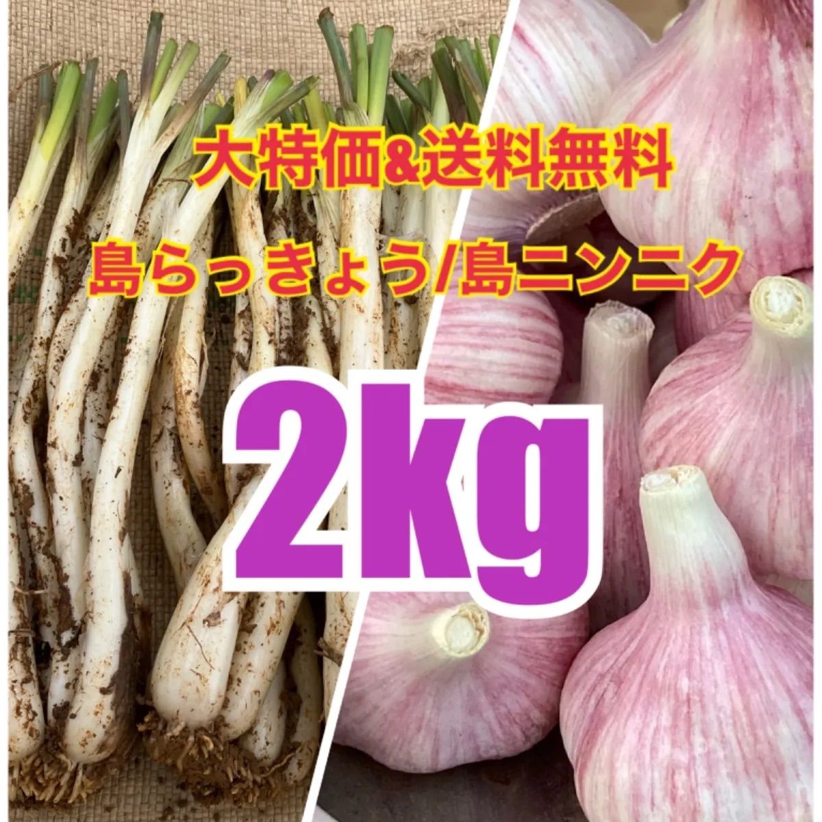 伊江島産 島らっきょう5キロ 農家直送！ - 野菜