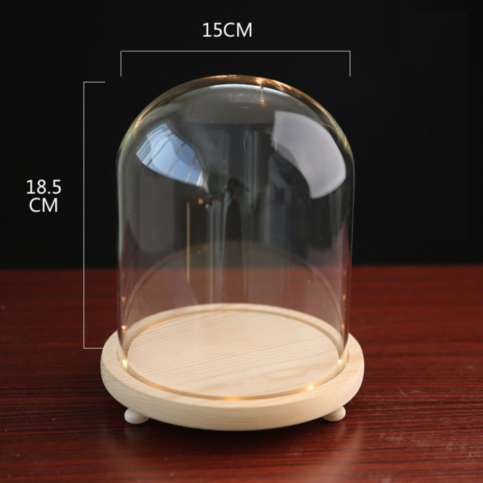 直接引取 CondeHouse ミニキュリオ ショーケース 展示品(464) ガラス