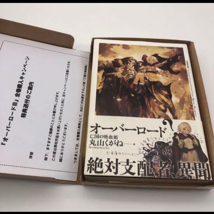 オーバーロード 亡国の吸血姫 2文学/小説 - 文学/小説