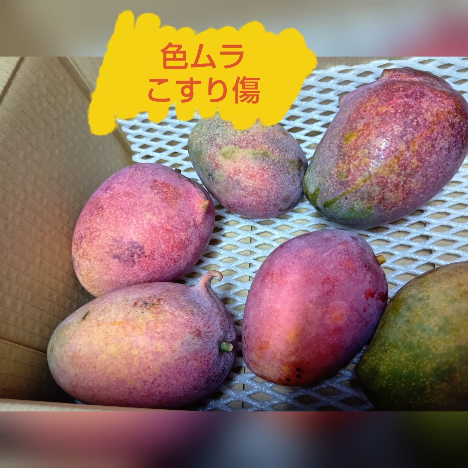 摘果マンゴー　10kg クール便発送！ dショッピング |濃厚完熟！冷凍マンゴー1kg クール便［冷凍］に