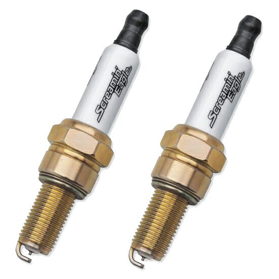 ブライトリバー スクリューヘッドBKS ロッドグリップ