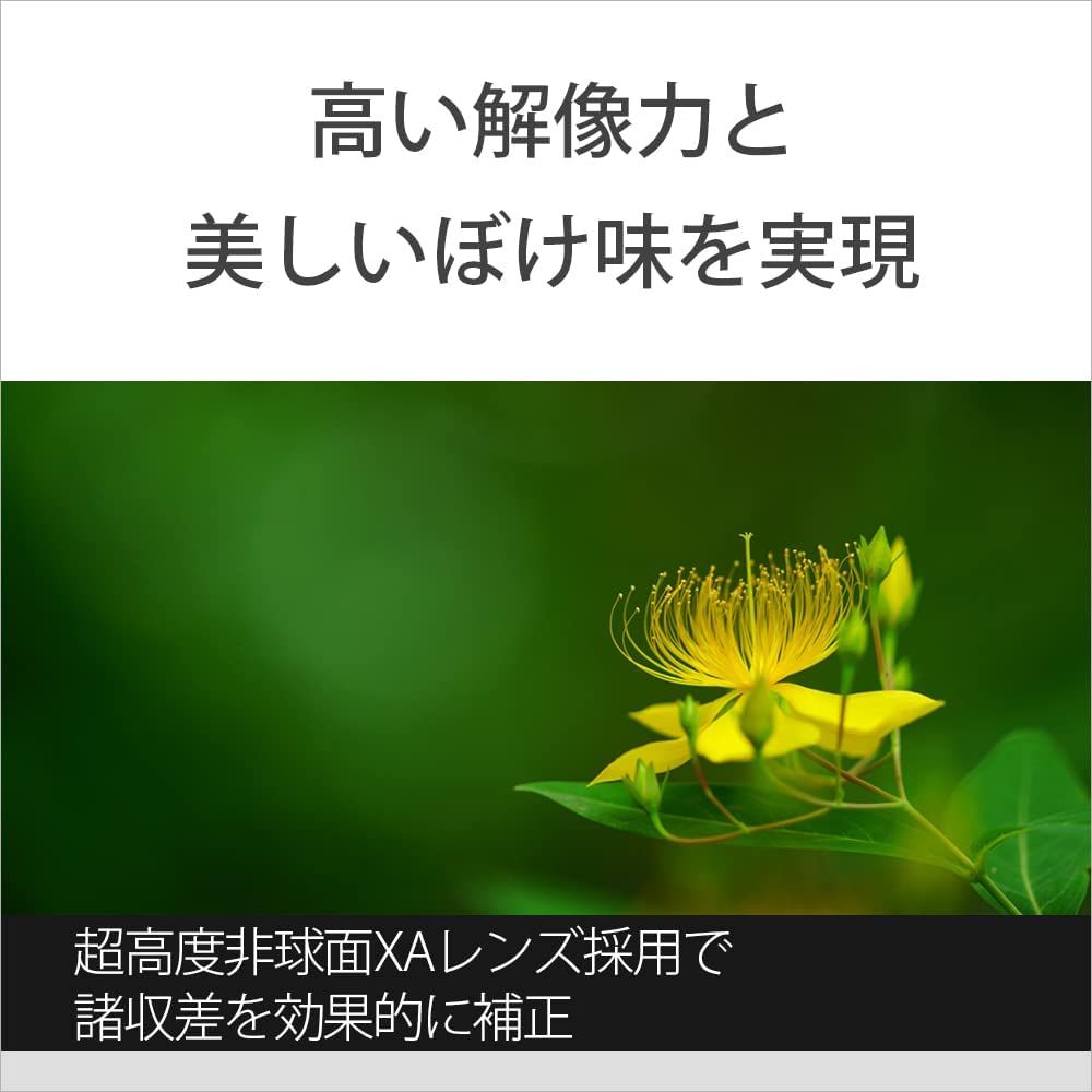 Master デジタル一眼カメラα