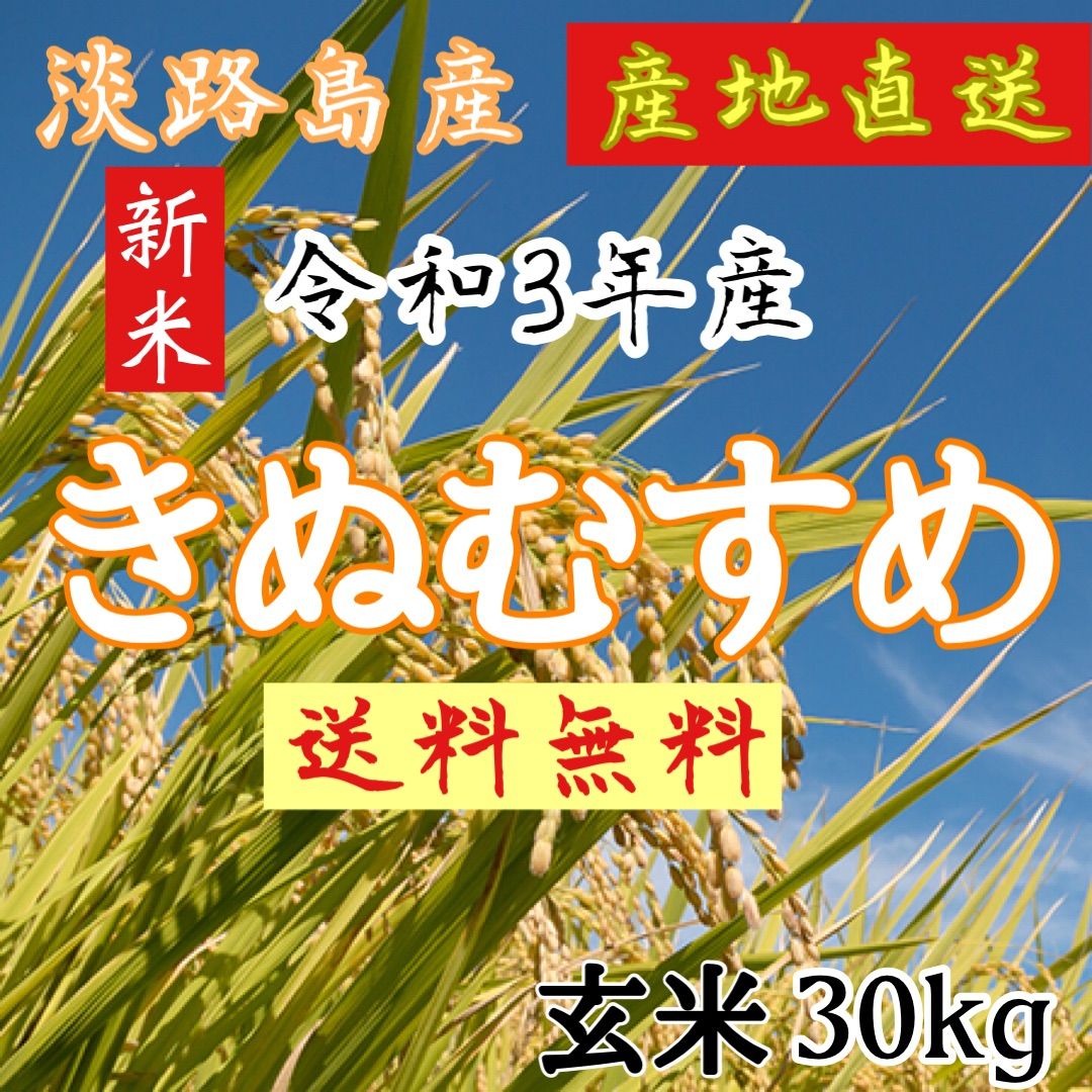 新米 令和3年産 きぬむすめ 玄米30キロ 淡路島産 精米小分け可 30kg