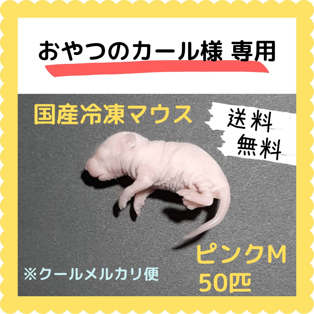 国産冷凍ピンクマウスS50匹.