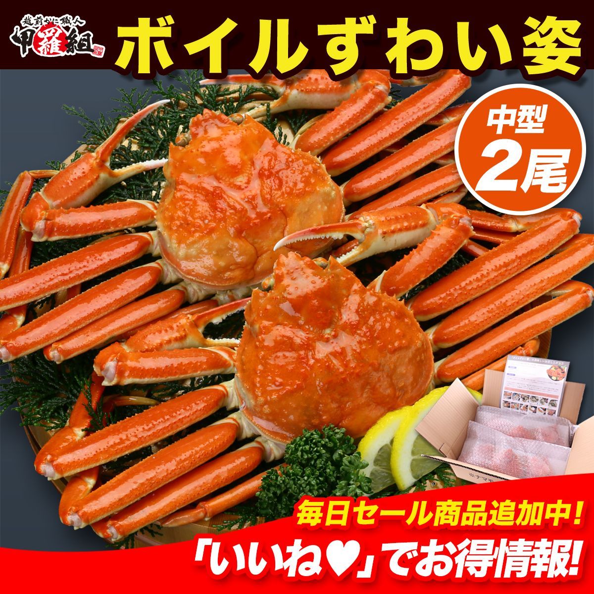 ?ボイルずわいがに姿2尾 中型サイズ500g前後×2尾 かに 蟹 カニ ズワイガニ カニミソ かにみそ カニ味噌 姿 鍋 カニ丼 浜茹で 急速冷凍 ギフト 贈り物 誕生日 甲羅組