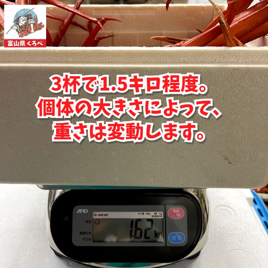 約1.5キロ