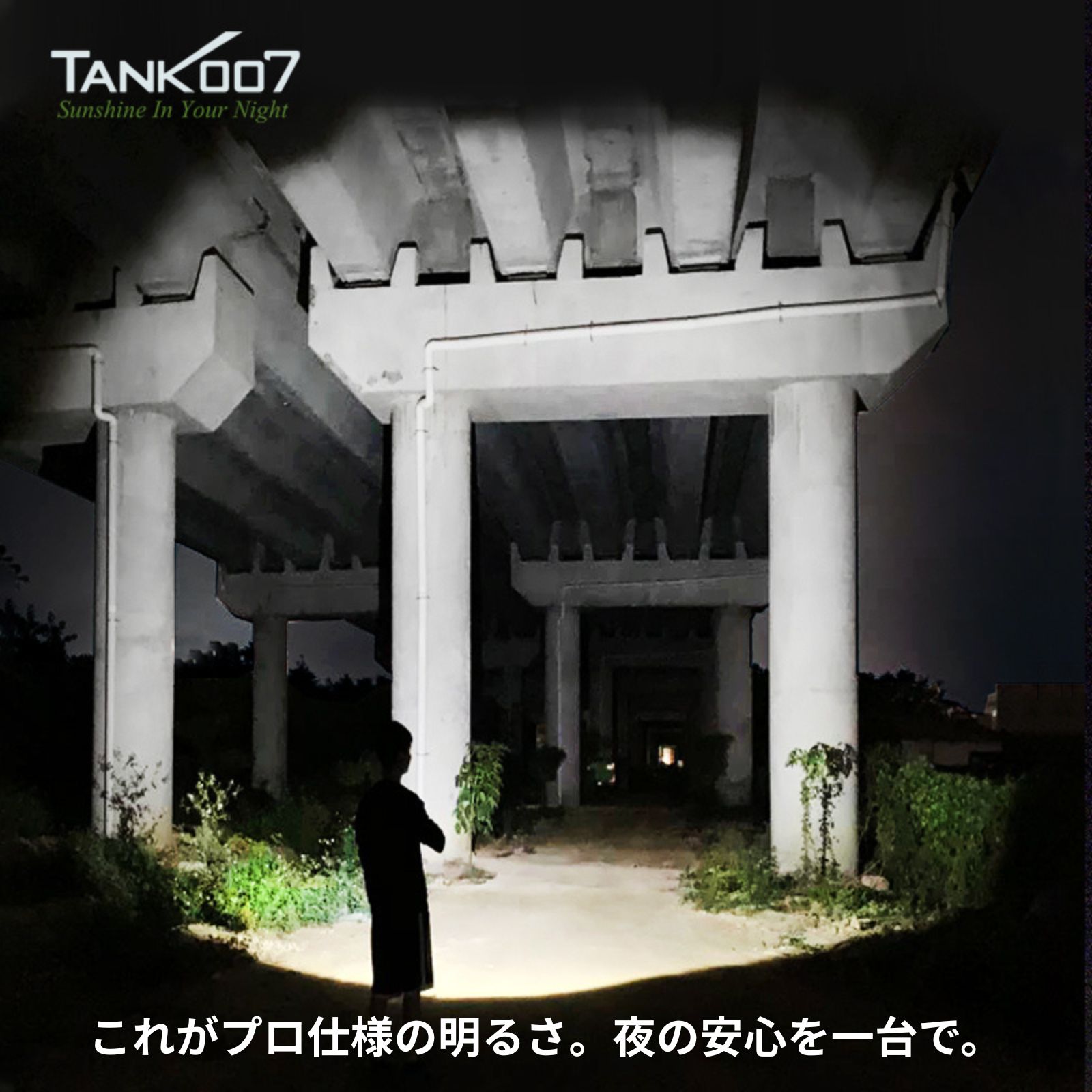 書家 柳田泰山書菊池康郎緑星囲碁学園十ヶ条 本物同様 書