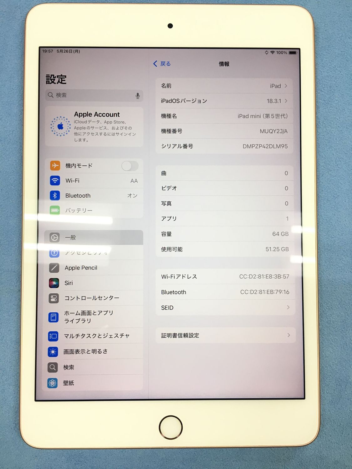iPad mini 5 64GB ゴールド 訳あり美品 - メルカリ