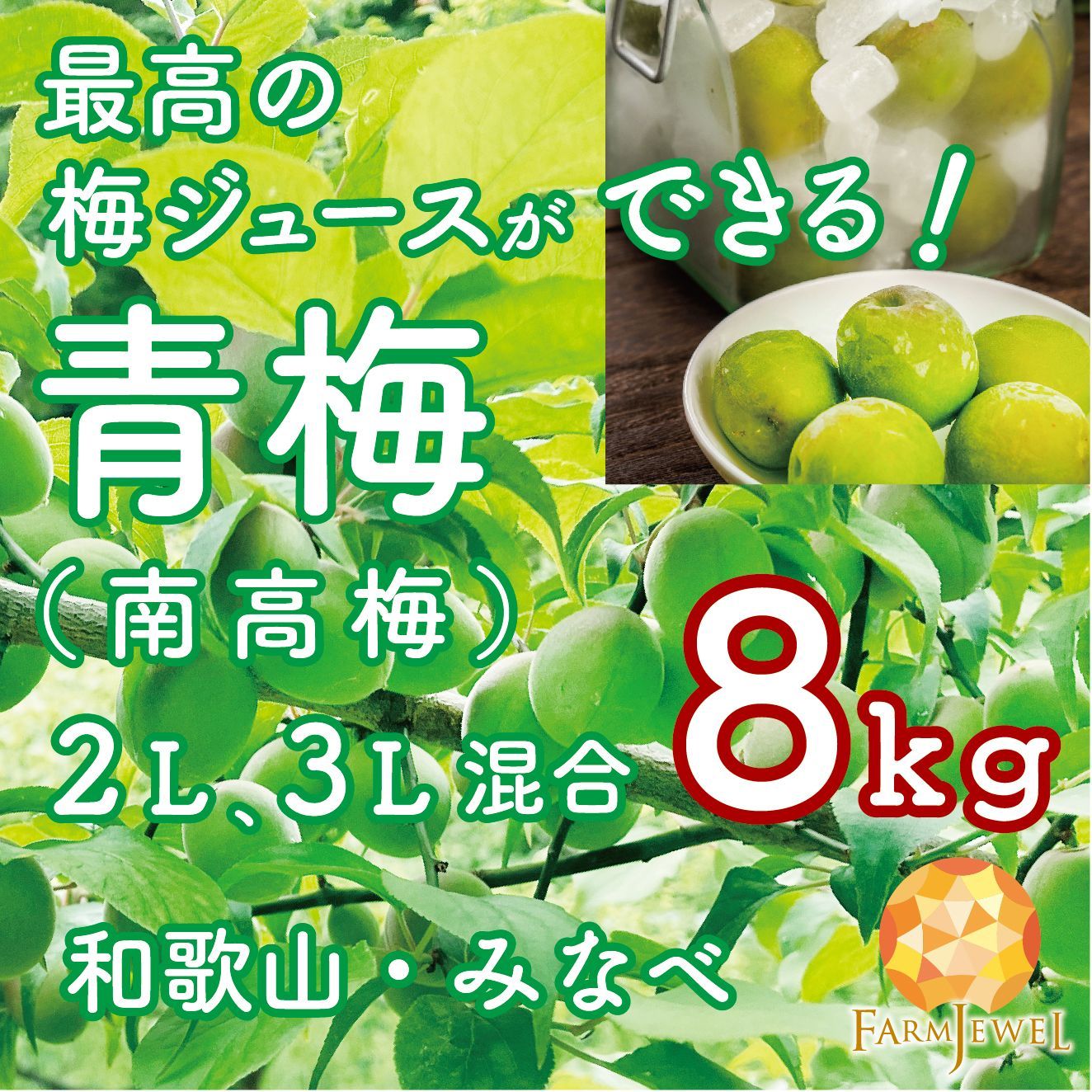 青梅 南高梅 和歌山県 みなべ産 8kg 2Lサイズ,3Lサイズ 混合 梅酒、梅