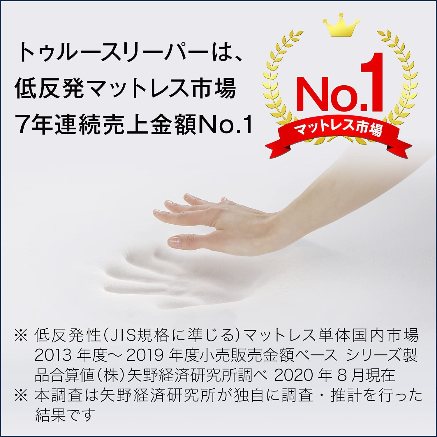 新品 シングルトゥルースリーパー 快眠セット FKB-WS43 FN007267 新品 シングルトゥルースリーパー 快眠セット FKB-WS43 FN007267