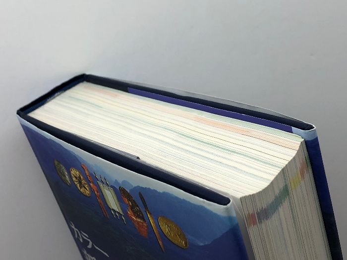 カラー新聖書ガイドブック いのちのことば社 パット