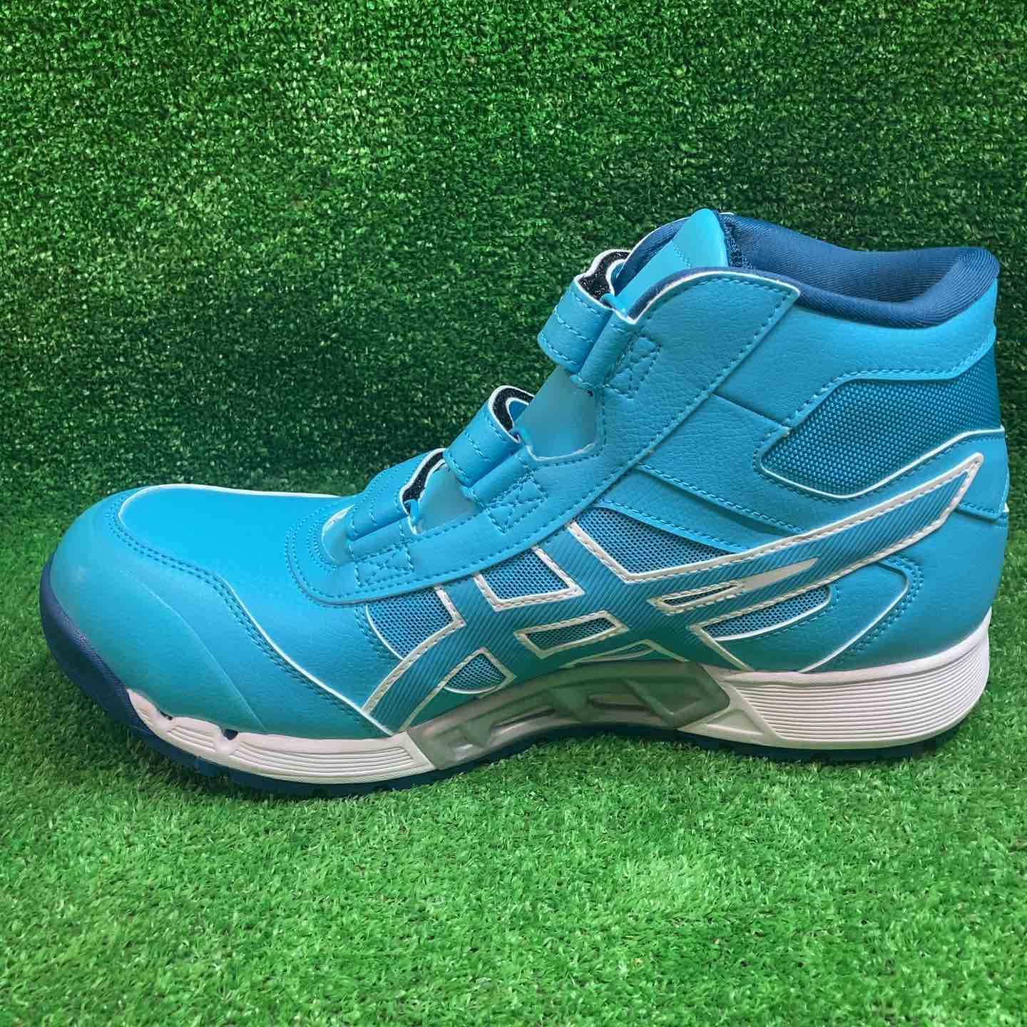 アクアリウム×アクアリウム