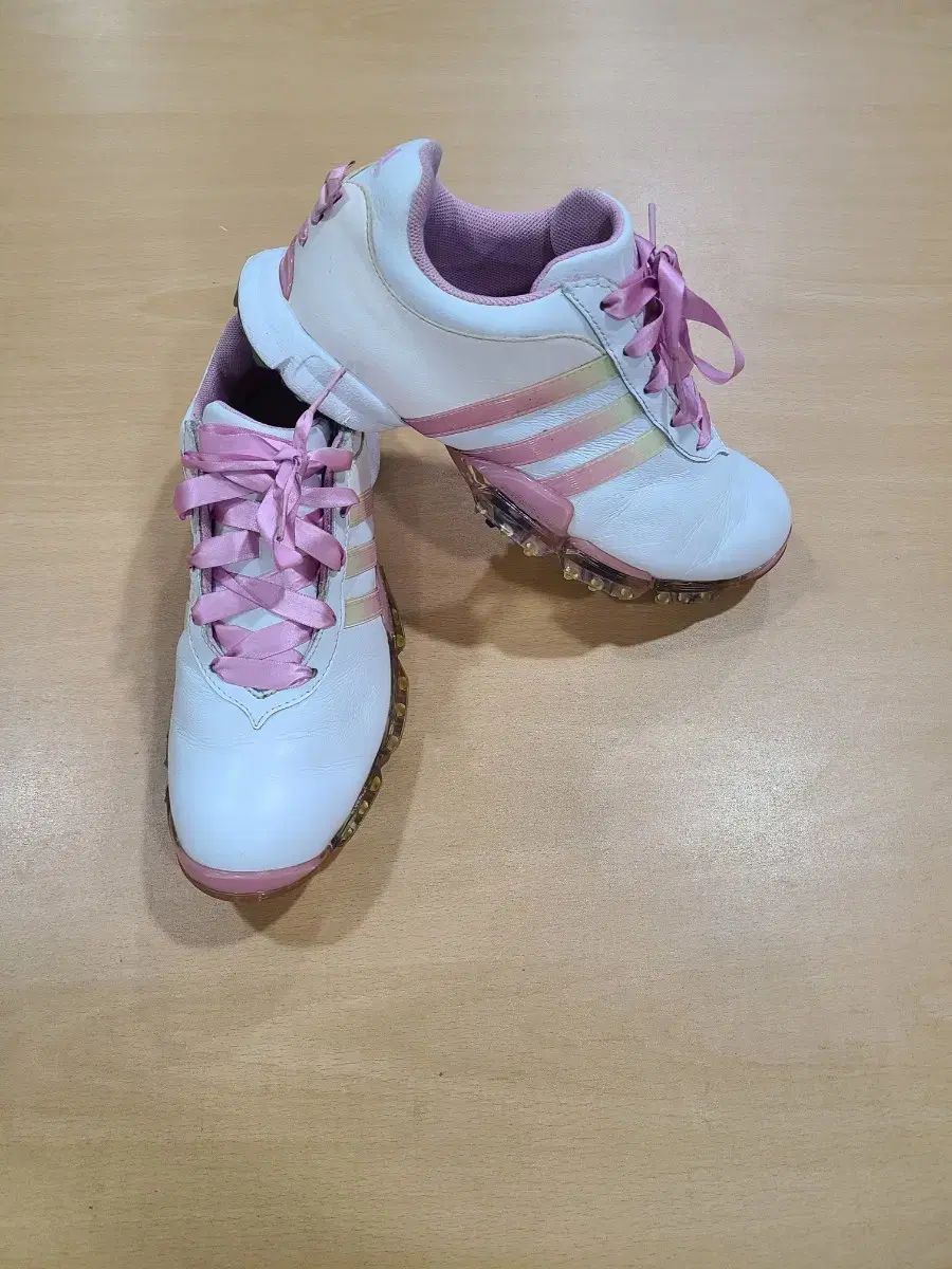 adidas レディースゴルフシューズ アディダスゴルフ] ゴルフシューズ ウィメンズ コードカオス 25 ボア