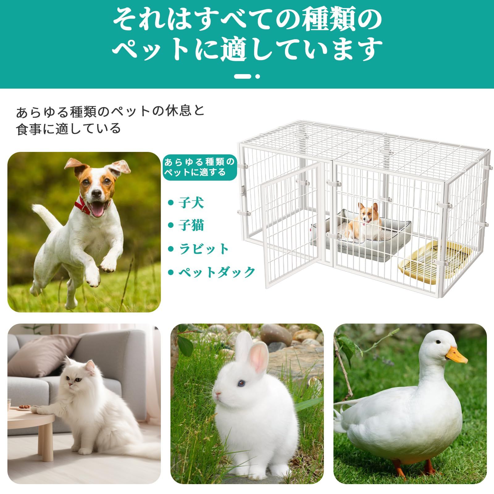 中型犬