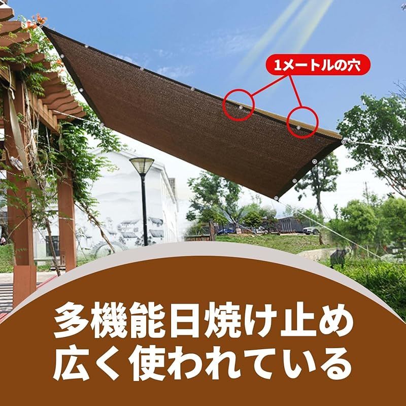 屋外 農業