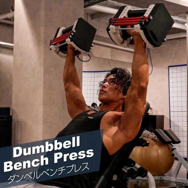 ダンベルブロック22kg ベスト ダンベルブロック22kg ＃2386 ダンベル