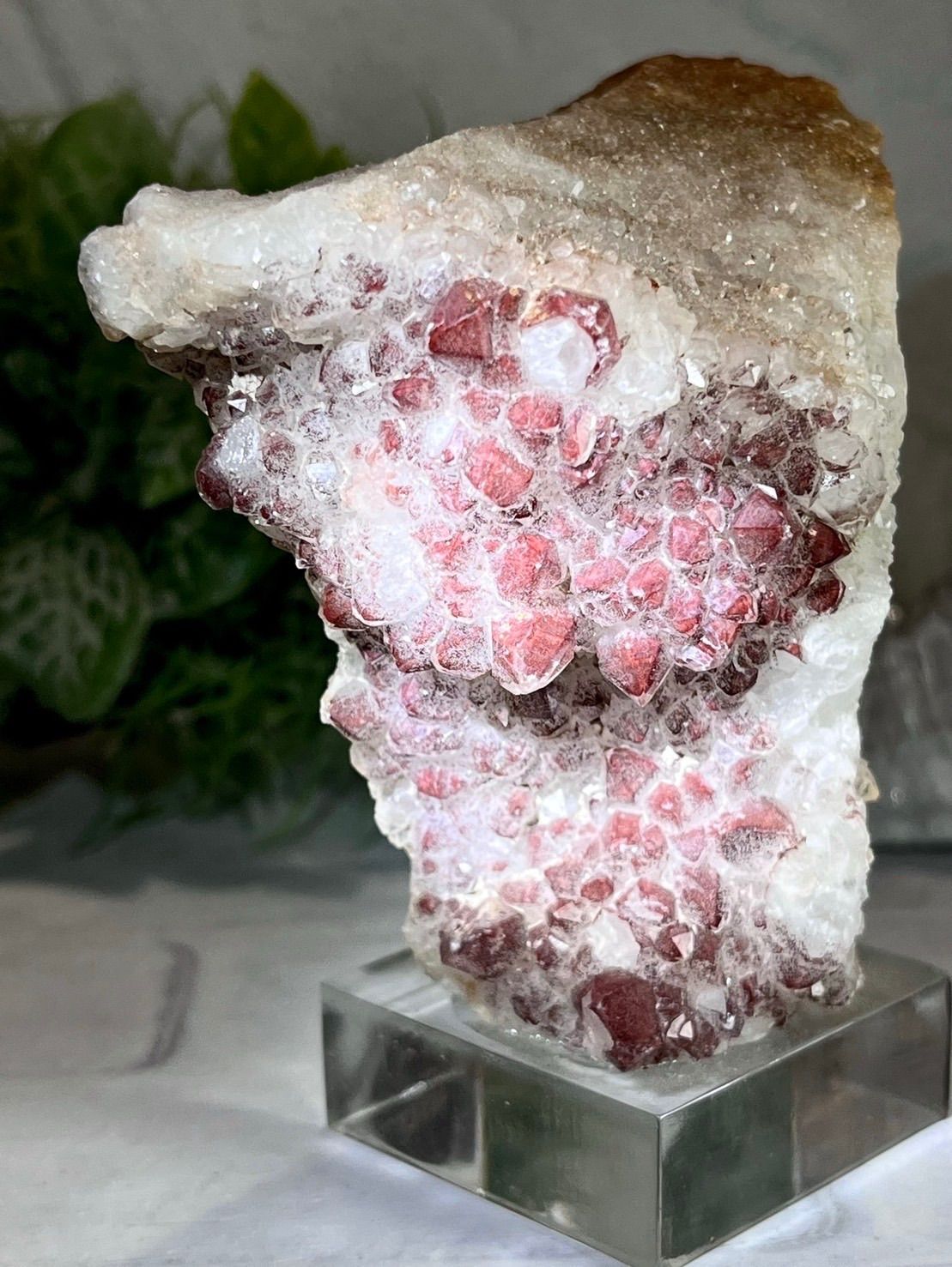 希少 中国古磁 粉彩 手描き 寿老人図 骰子入 置物 清代 同治在銘 美品 希少 中国古磁 粉彩 手描き 寿老人図 骰子入 置物 清代 同治在