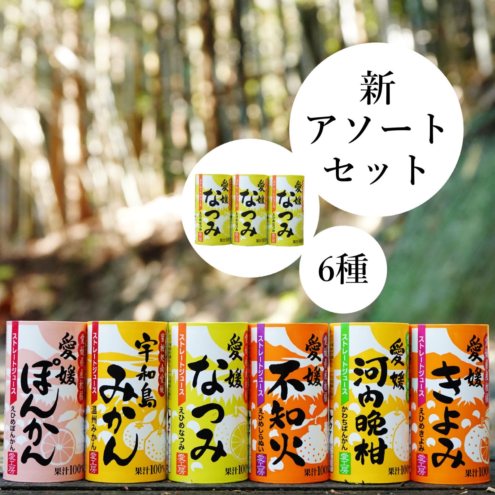 愛工房6種アソートセット 計30本 (みかん5本、不知火5本、きよみ5本、河内晩柑5本、なつみ5本、ポンカン5本) - メルカリ