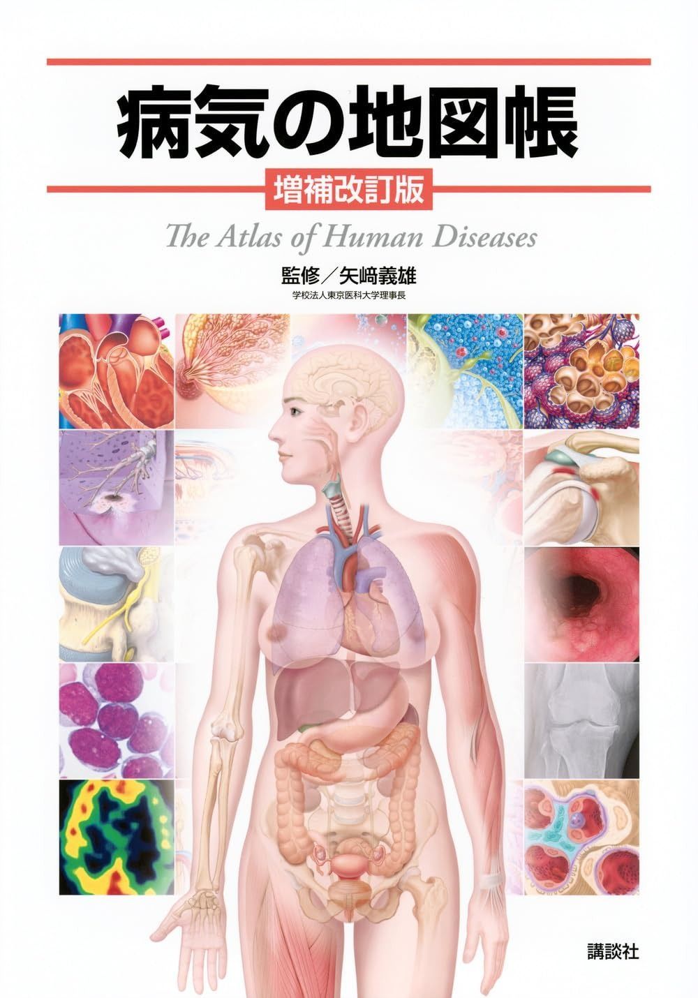 上海の国立博物館置物 【公式通販】