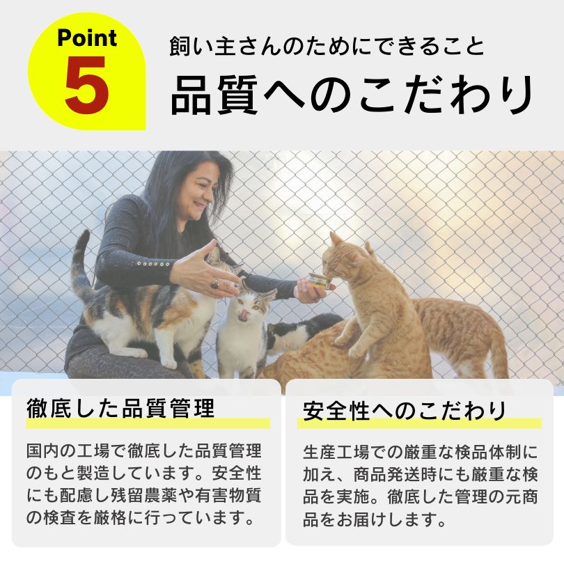 保護猫