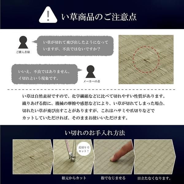 掛川織 い草 花ござ ラグマット 抗菌 防臭 福岡県品評会最優秀賞 MARWIL-DEMENAGEMENTS_CH