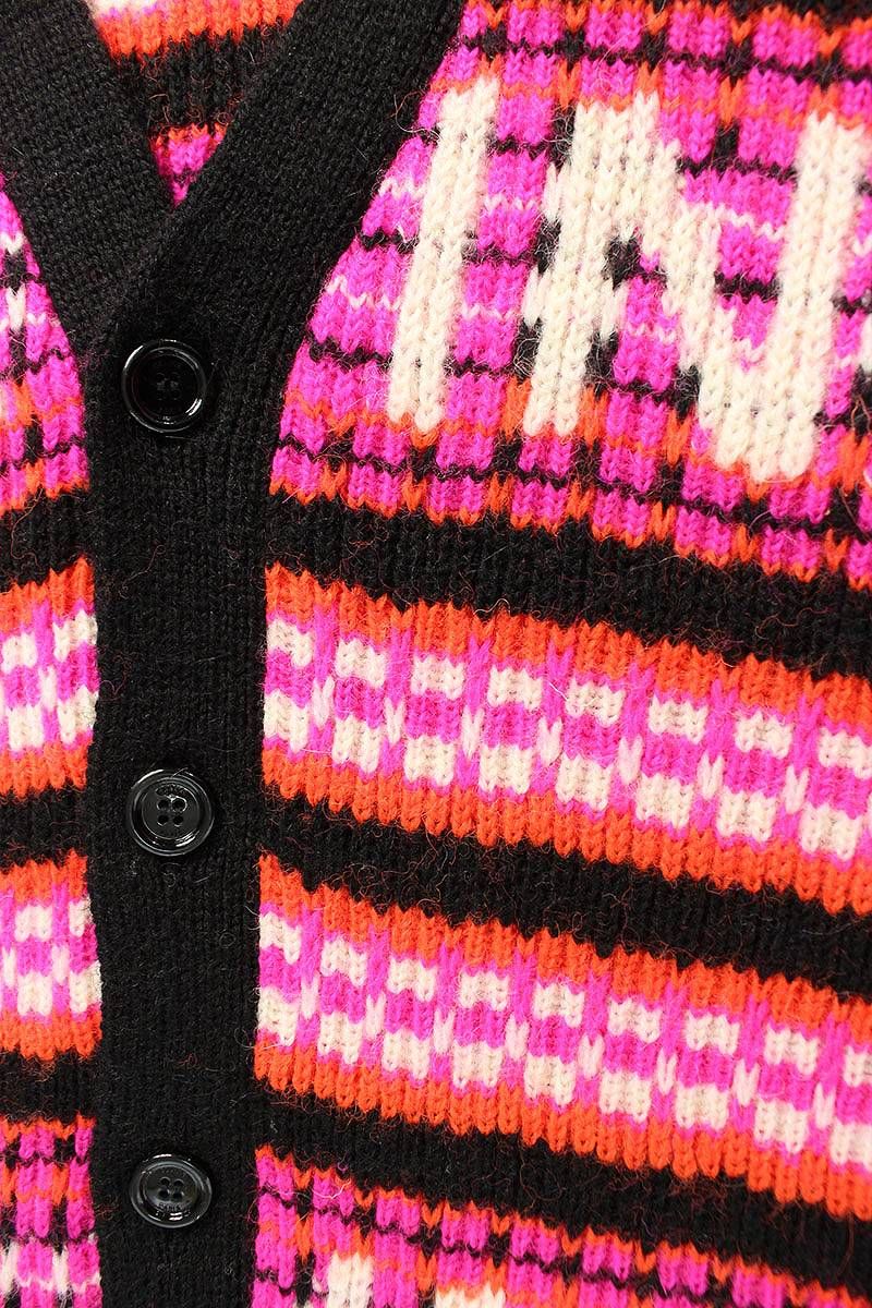 セリーヌバイエディスリマン 23SS 2AC91579S ロゴスキージャカード  