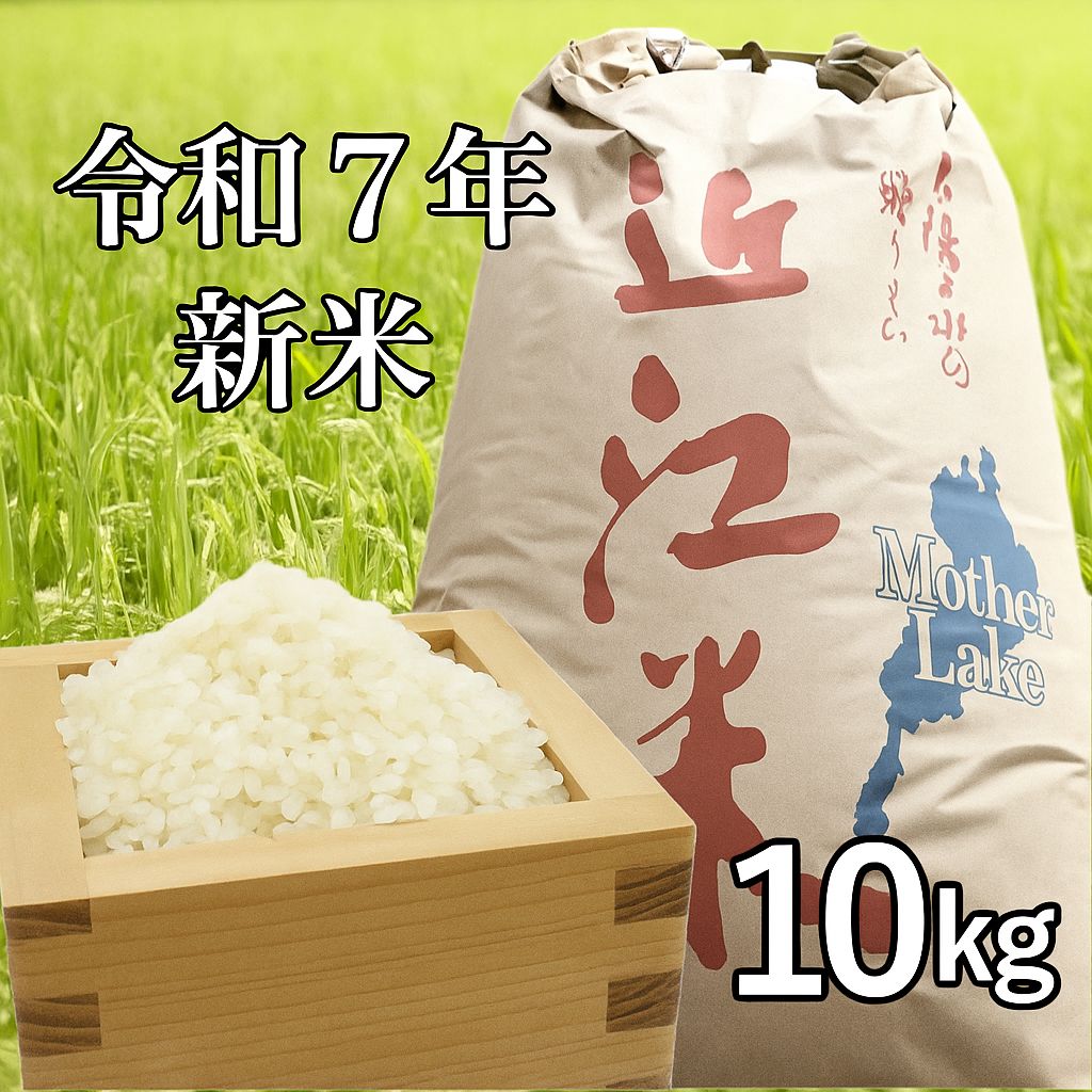 令和７年産 新米 コシヒカリ 特別栽培米 精米10kg 湖北 近江米 み