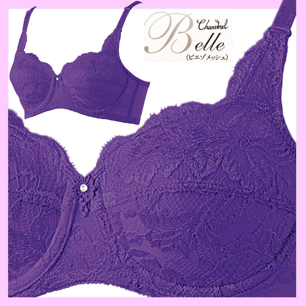 SALE】シャンデール ブラックレース ボディスーツ D85 ブラジャー