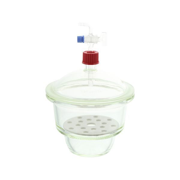 P4倍 7/11は楽天勝利でさらにPアップ】 デシケーター 上口コック付