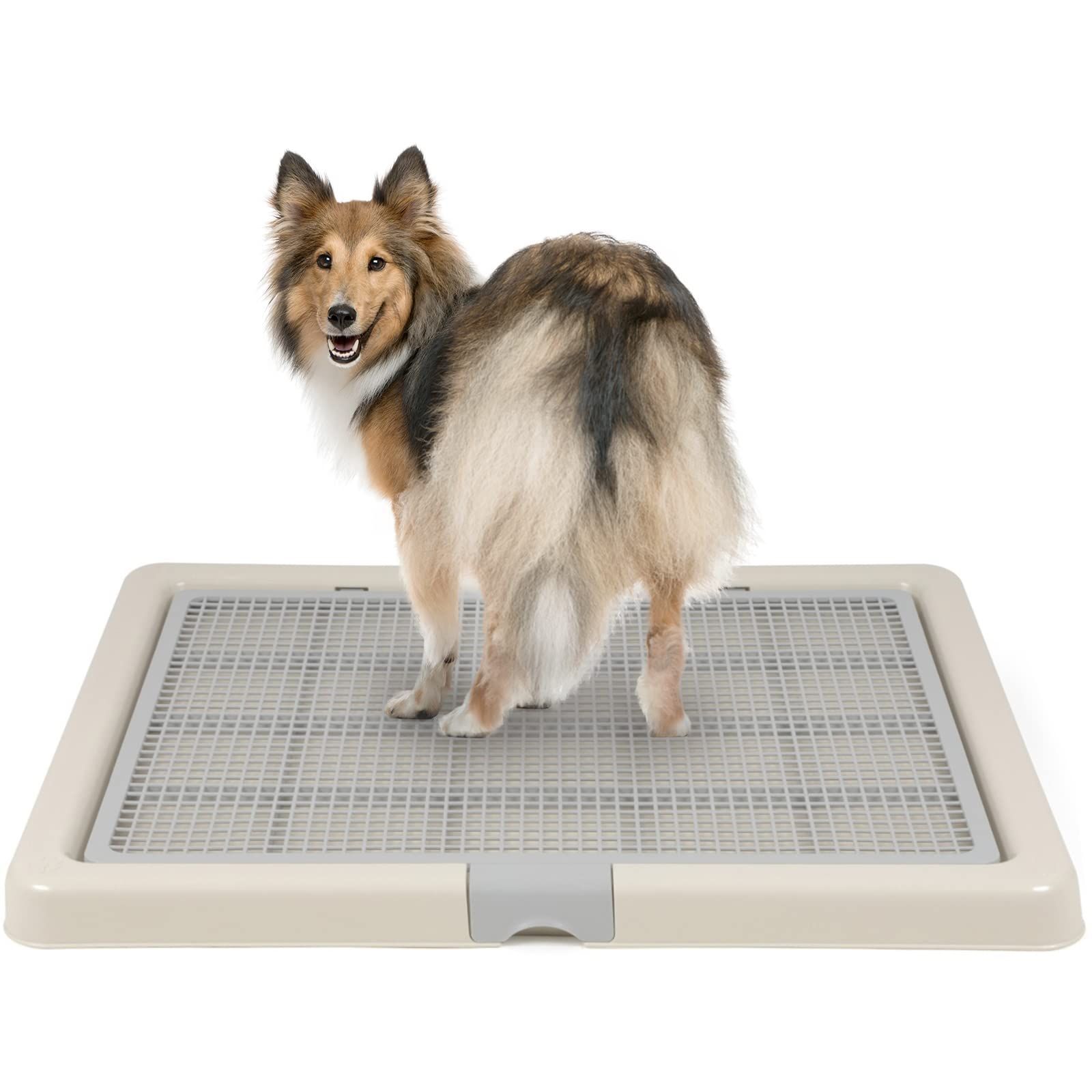 犬 トイレ トレー 特大 飛び跳ね防止 ステップ しつけ トイレトレーニング 足元いつでも グレー XL
