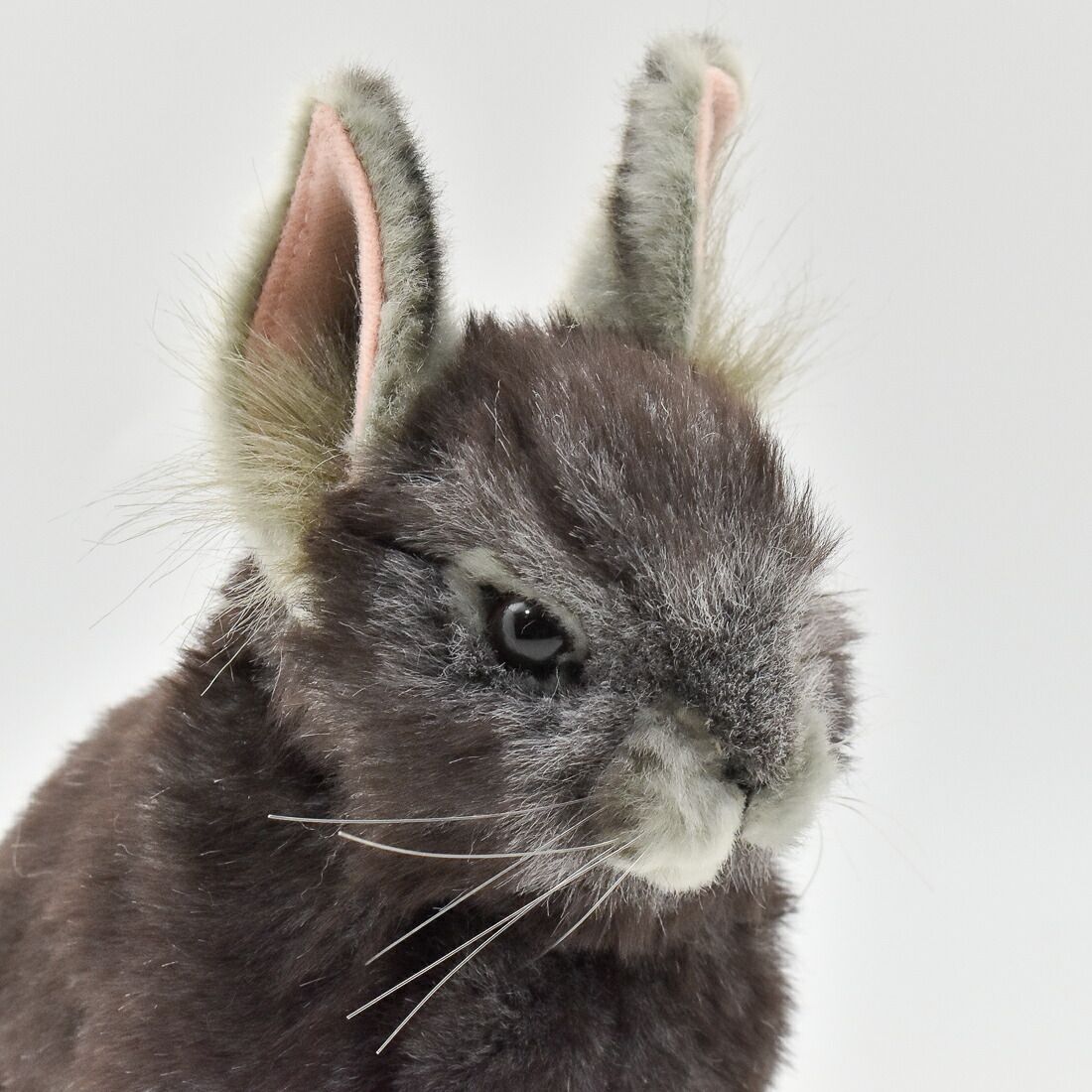 HANSA BH8129 ピグミーウサギ グレー 18 PYGMY RABBIT 野ウサギ