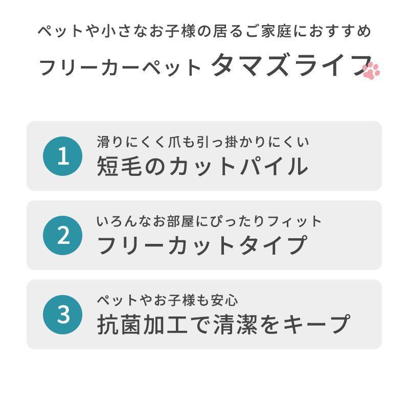 タマズライフ