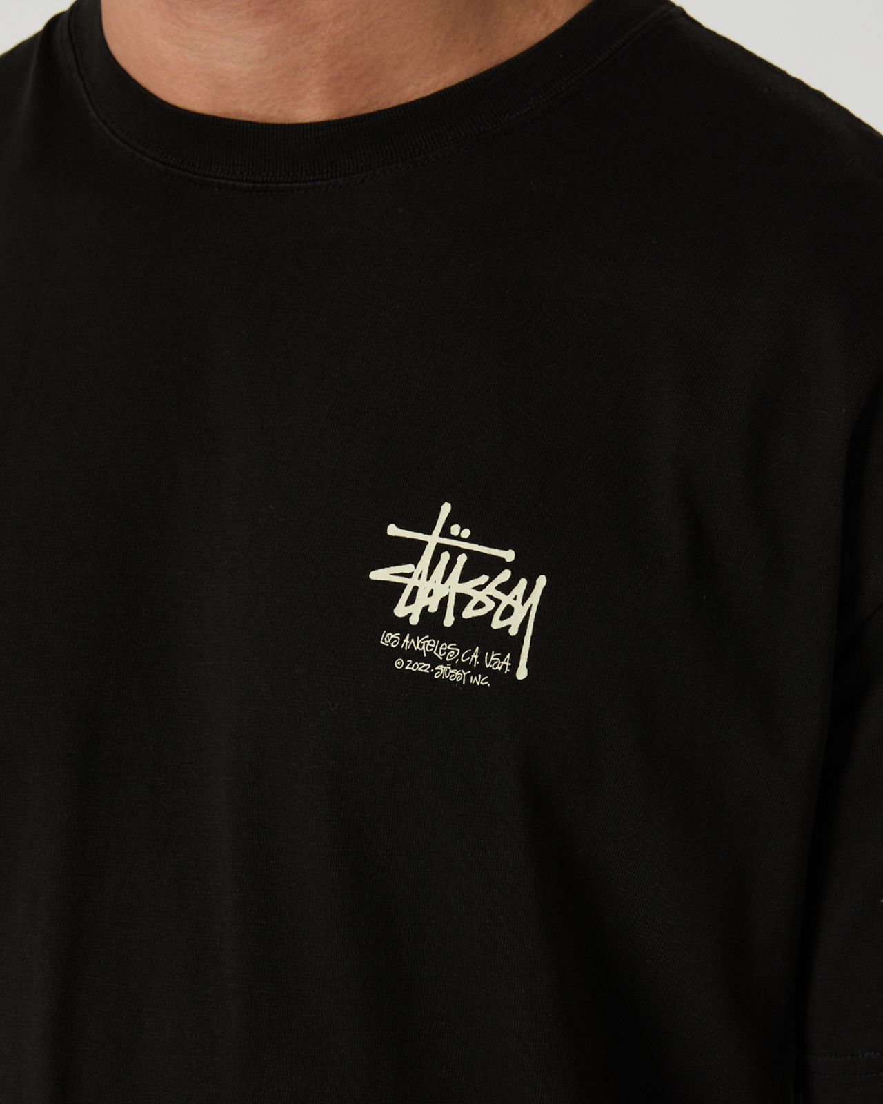 STUSSY Dragon 50-50 Ss Tee Tシャツ ステューシー - メルカリ