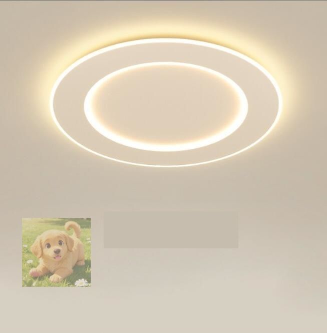 シーリングライト おしゃれ LED 北欧照明リモコン 調光調色 リモコン付き 天井照明 工事不要 明るい 6畳 8畳 10畳 居間 食卓 寝室 60cm NEXPOTALLINN_EU