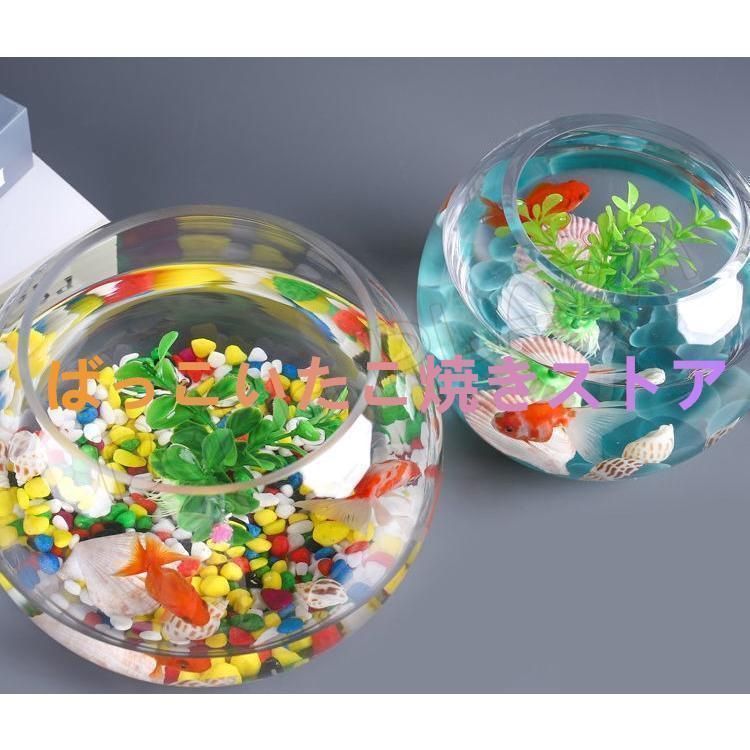 ミニ金魚