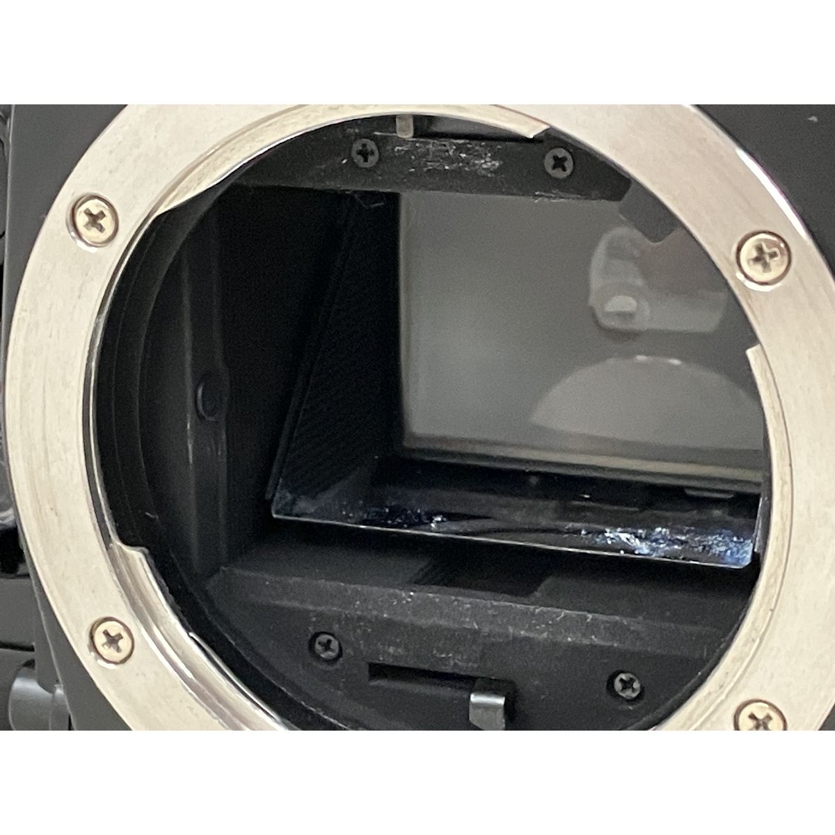 フィルム 一眼レフカメラ