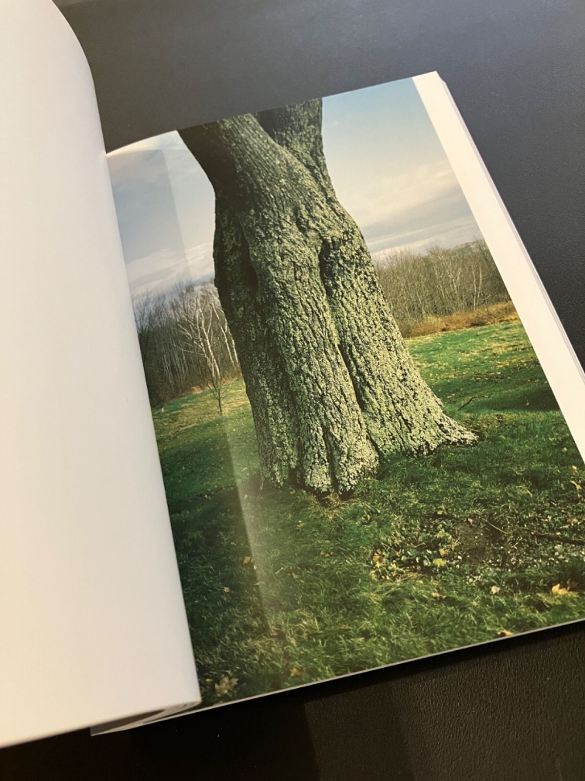 ヴォルフガングティルマンス　写真集 NOTHING COULD HAVE PREPARED US - EVERYTHING COULD HAVE