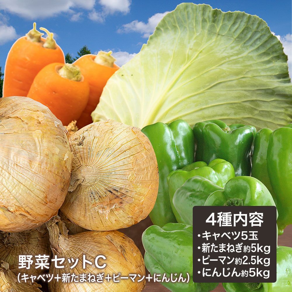 野菜セットC キャベツ5玉 新たまねぎ にんじん約5kg ピーマン約2.5kg 4種セット きゃべつ 玉ねぎ ポテト 人参 定番 万能 おうちごはん おうち時間 ご家庭用 大量 おためし