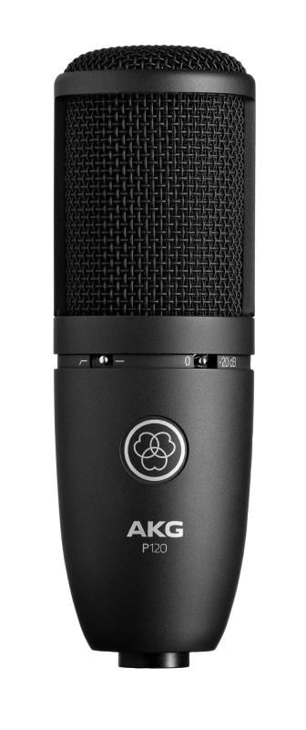 Div. ホビー・楽器・アート コンデンサーマイク AKG P420