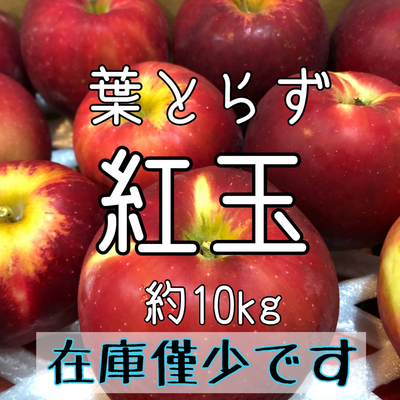 約10kg　紅玉　46　葉とらず　青森りんご　果物