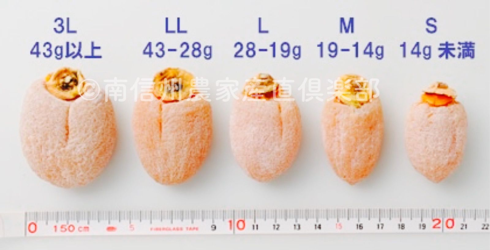 大玉Ｌ･2L混合 美味しさそのまま
