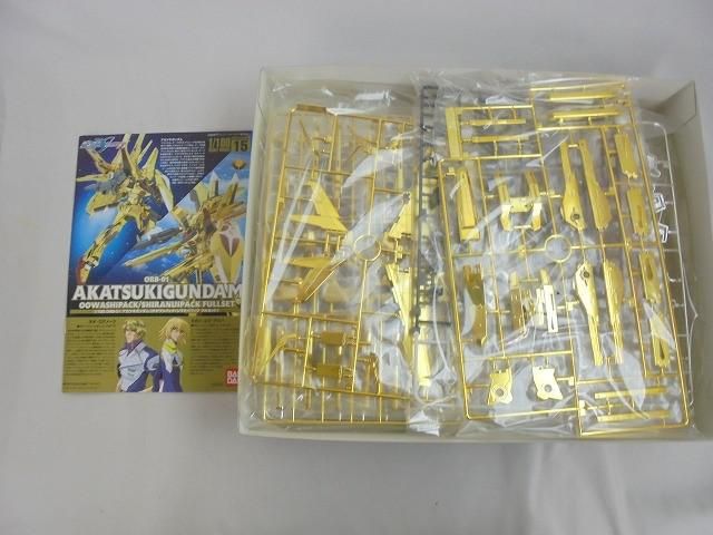 未組立 プラモデル 1/100 機動戦士ガンダムSEED DESTINY