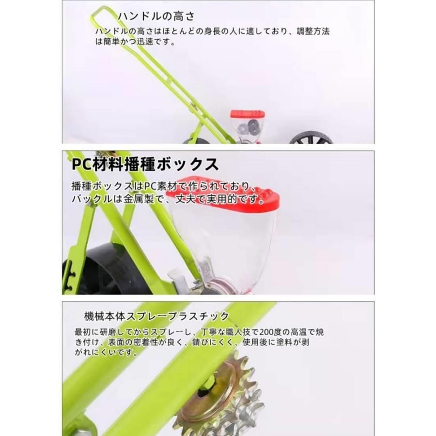 ほうれん草 セロリ