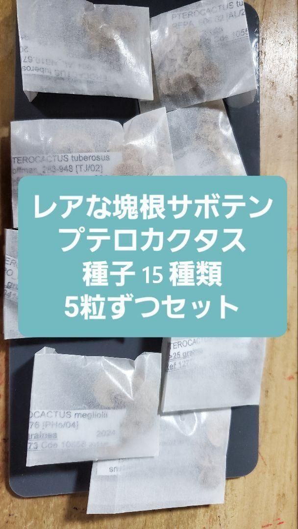 プテロカクタス フルセット 種子15種類 5粒ずつセット
