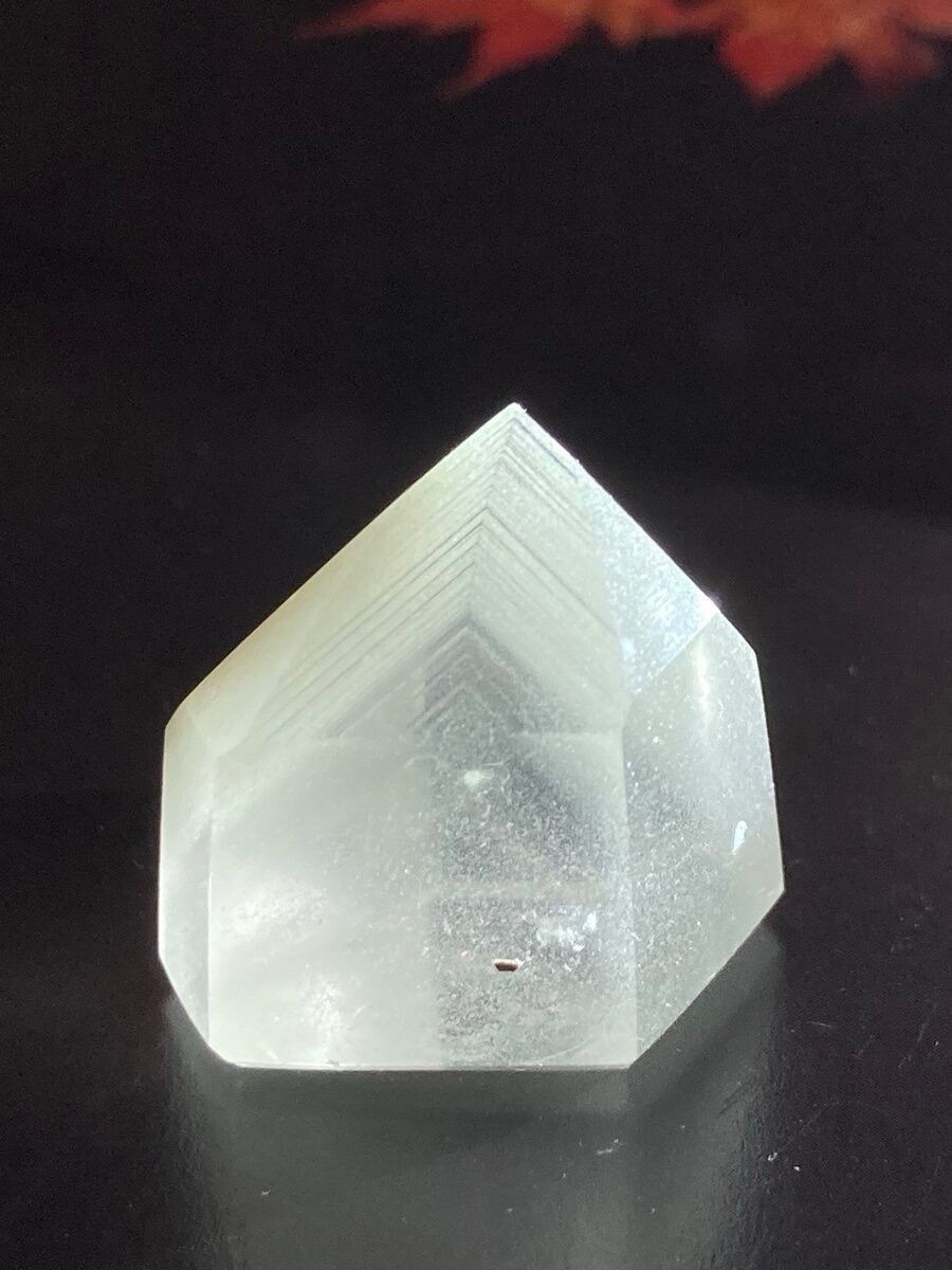 茶道具 茶碗 裂白釉 目白 メジロ 鳥 竹桂庵西山作 可愛い 平茶碗 裂白