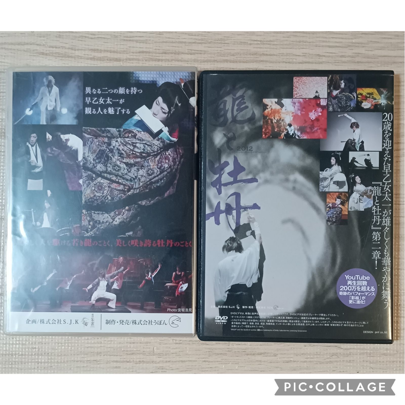 42〉【劇場限定】龍と牡丹 早乙女太一 DVD2枚セット - メルカリ